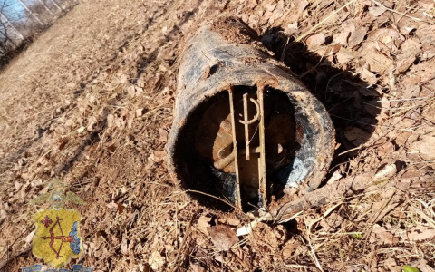 В Кировской области в лесу обнаружили необычную находку