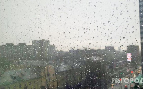 Снег с дождем и сильный ветер: опубликован прогноз погоды в Кирове на неделю