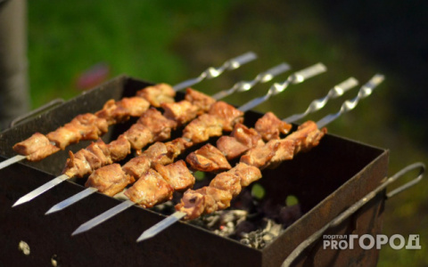 Роспотребнадзор рассказал, какое мясо для шашлыка покупать опасно