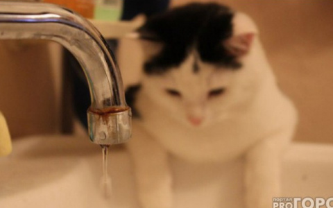 Жители трех районов Кирова будут без воды 29 апреля