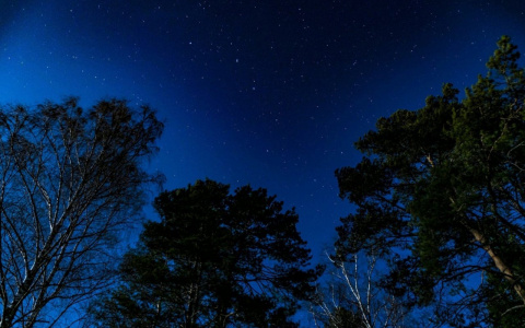 Овнам повезет в любви, а Девы столкнутся с трудностями: гороскоп на воскресенье