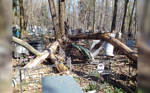 На кладбище в Кирове поваленные деревья сломали надгробия