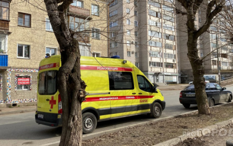 Что обсуждают в Кирове: ДТП с несовершеннолетним и гибель человека от упавшего дерева