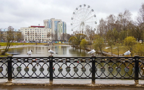 Что обсуждают в Кирове: прогноз погоды и отмена светового шоу