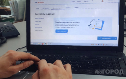 В Кировской области вырос спрос на портал «Госуслуги»