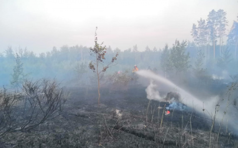 Дым сибирских пожаров накрывает южные районы Кировской области