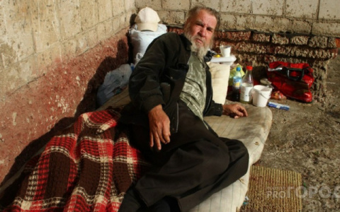 Инструкция: как помочь бездомным в Кирове?