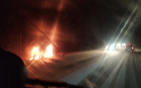 Машина полностью выгорела: в Кировской области раскрыли угон и поджог авто