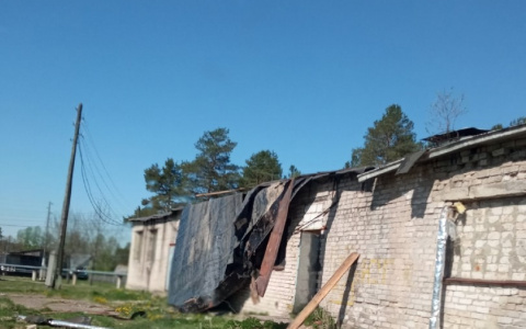 «Ураган срывал крыши и валил деревья»: несколько районов Кировской области пострадали от стихии