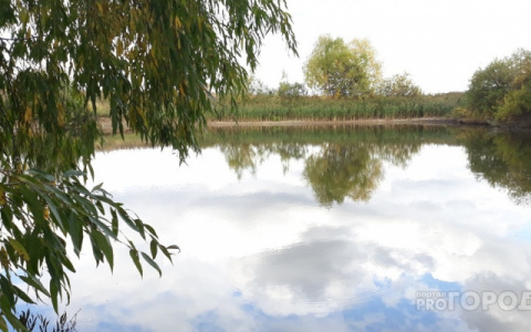 Тело не нашли: в Кировской области во время купания утонул мужчина