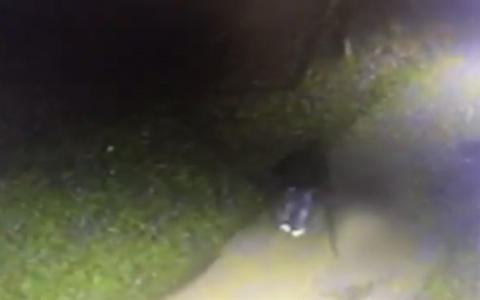 В парке имени Кирова неизвестный жестоко избил подростка