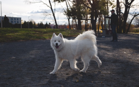 Весам понадобится помощь, а Рыб ждет удача в деньгах: гороскоп на среду