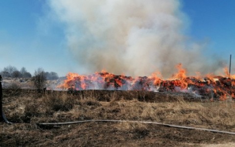 В Кировской области завели уголовное дело на предприятие, устроившее свалку