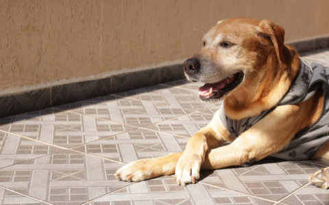 Овнов собьют с толку, а Дев ждет новый роман: гороскоп на пятницу