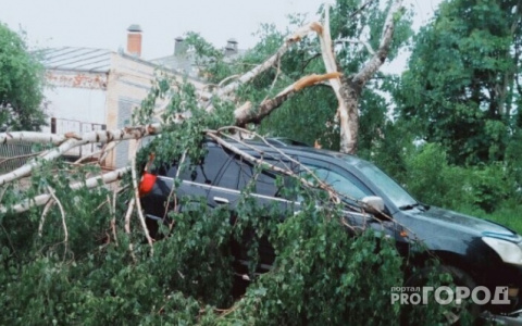 В Кировской области объявлено метеопредупреждение из-за гроз и ветра