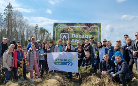 Сотрудники Сбербанка помогли высадить 15 000  новых деревьев в Кировской области