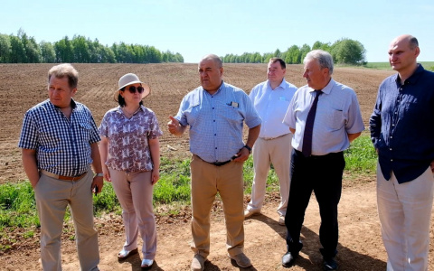 Кировские аграрии могут приступить к заготовке кормов уже с начала июня