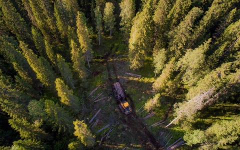 Segezha Group готова к началу пожароопасного сезона в Кировской области