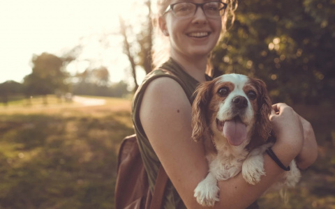 Овнов могут предать, а Скорпионов ждут ссоры: гороскоп на воскресенье