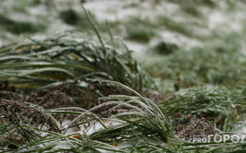 В северных и западных районах Кировской области возможны заморозки на почве
