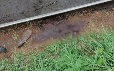 В Кирово-Чепецке на глазах очевидцев поезд наехал на мужчину