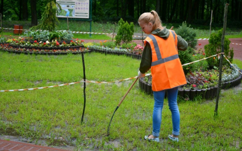 Подростки Кировской области могут заработать за лето более 12 миллионов рублей