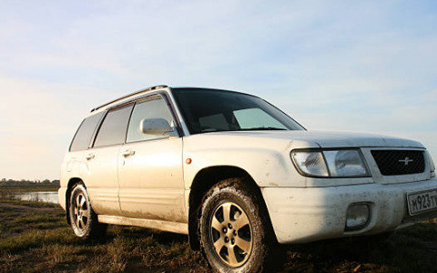 Кировчанка накопила 83 штрафа за нарушение правил дорожного движения