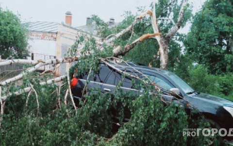 В Кировской области объявлено метеопредупреждение из-за сильного ветра и грозы