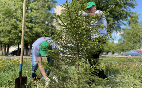 Segezha Group поддержала Международную акцию  «Сад памяти» в Кирове