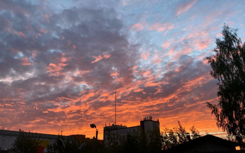 Сухая погода и временное похолодание: прогноз на июнь в Кировской области