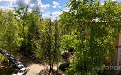 Потеплеет до +24 градусов: известно, какая погода ждет кировчан на неделе