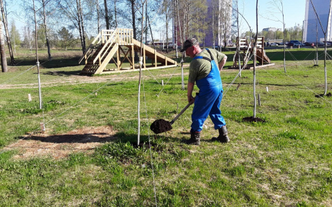 «Кировспецмонтаж» возвращает эпоху добрососедства и чистых дворов
