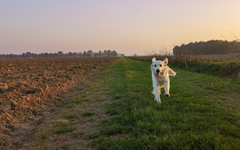 Девы будут конфликтовать, а Рыбам готовят сюрпризы: гороскоп на среду
