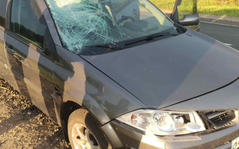 Пешеход погиб под колесами иномарки на трассе «Вятка»