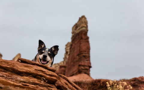 Девам придется попотеть, а Рыбы захотят одиночества: гороскоп на четверг