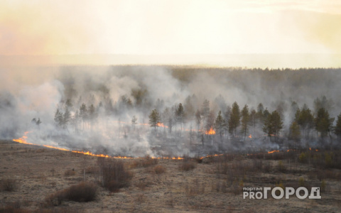 3 гектара леса горели в Кировской области в выходные