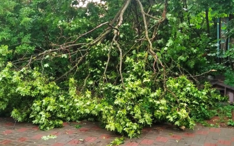 Гроза бушевала в Кирове: оборваны электропровода и затоплены дороги