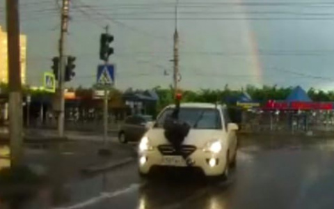 В Кирове водитель иномарки сбил девушку на пешеходном переходе