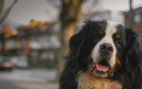 Львы будут рисковать, а Водолеев потянет на приключения: гороскоп на пятницу