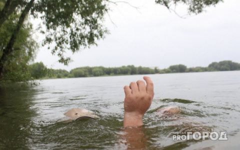 В Кировской области в пруду утонули мужчина с трехлетним сыном