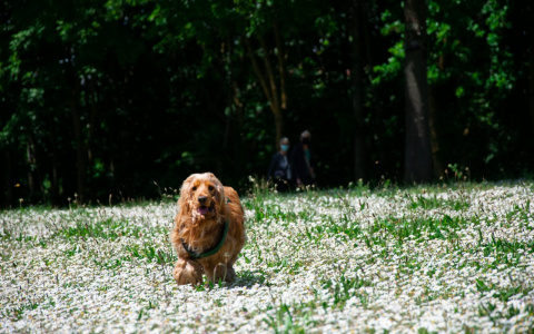 Тельцы «укрепят тыл», а Близнецы сыграют по-крупному: гороскоп на пятницу