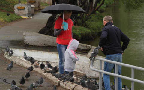 Жара уступит место дождю: известно, какая погода ждет кировчан на неделе