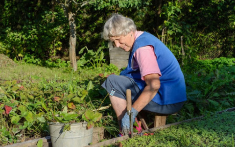 Как помочь суставам в дачный сезон?