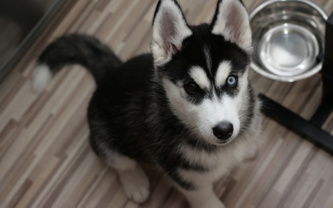 Финансовая выгода ждет Овнов, а приступы агрессии – Скорпионов: гороскоп на вторник