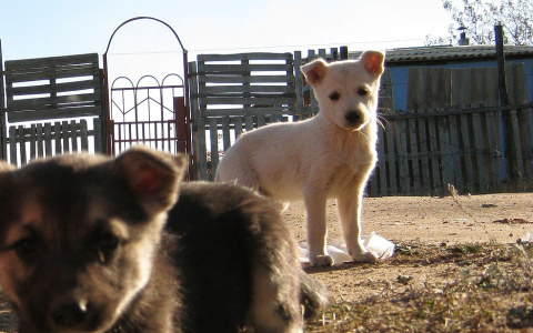 Раков ждет финансовый крах, а Водолеев – удача: каким знакам зодиака придется нелегко в июле
