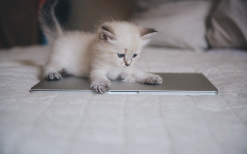 Дев ждут ссоры с близкими, Львов — удача в любви: гороскоп на выходные