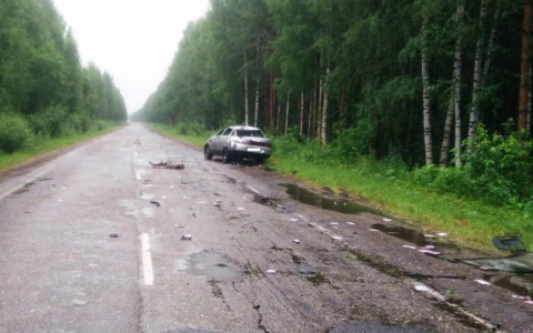 На трассе в Кировской области произошло смертельное ДТП