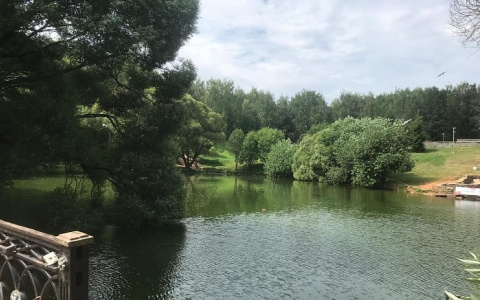 Пруд в парке имени Кирова очистили после жалоб жителей