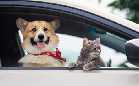 Названы 5 знаков зодиака, которых ждет самый яркий отпуск