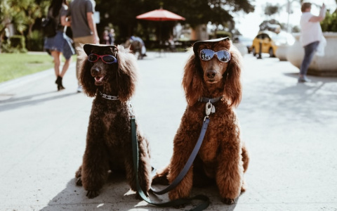 Кого ждет интрижка, а кого – увольнение: гороскоп для всех знаков зодиака на четверг